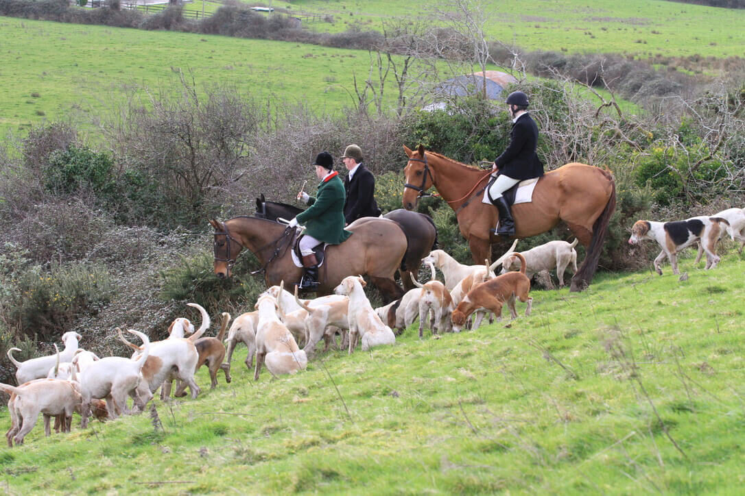 East Clare Harriers